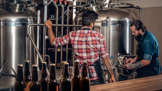 Brewery consultant discussing brewing equipment with a client in a small brewery