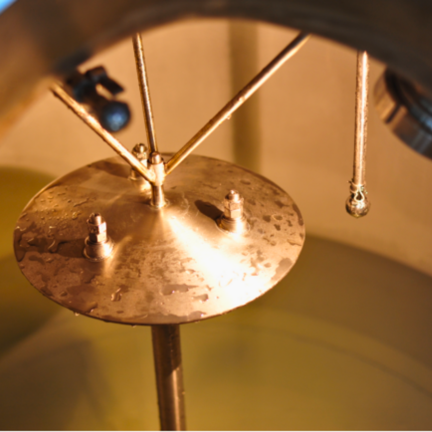 5BBL Brewhouse