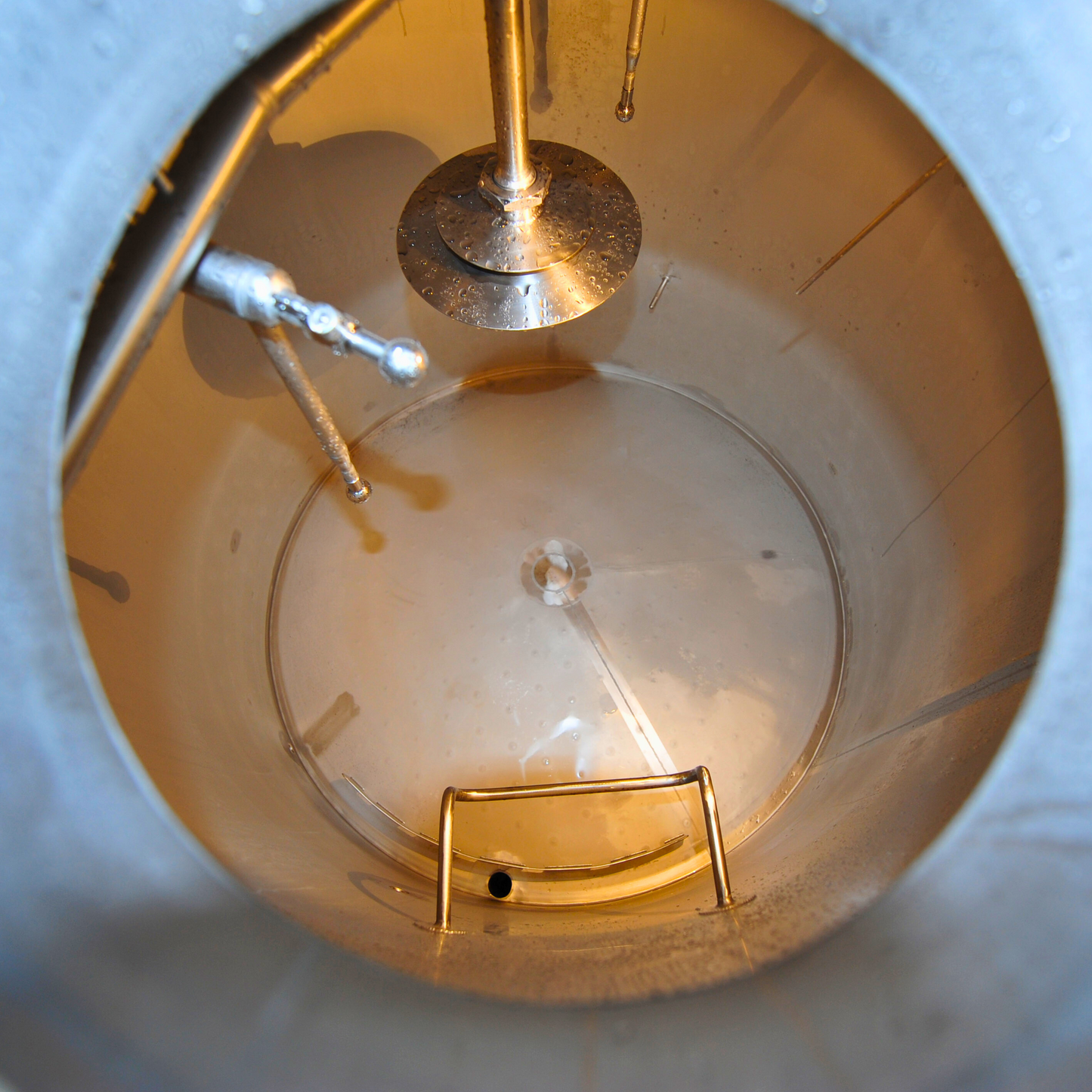 5BBL Brewhouse
