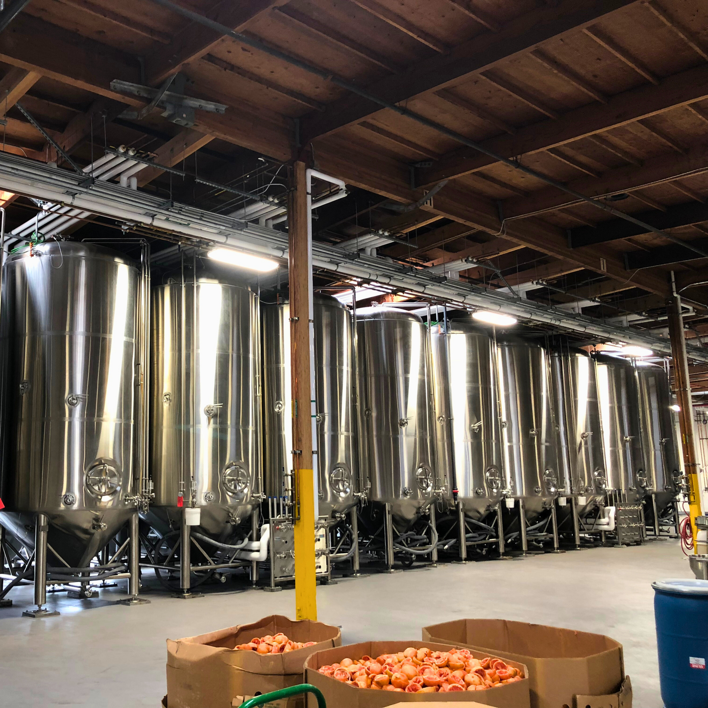 Kombucha Fermentation Tanks | Customizable Brewing Vessels