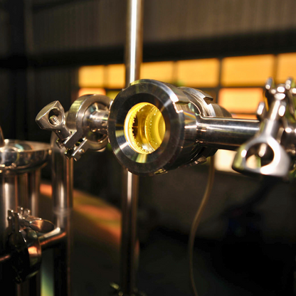 5BBL Brewhouse | Versatile Brewing System for Craft Brewers